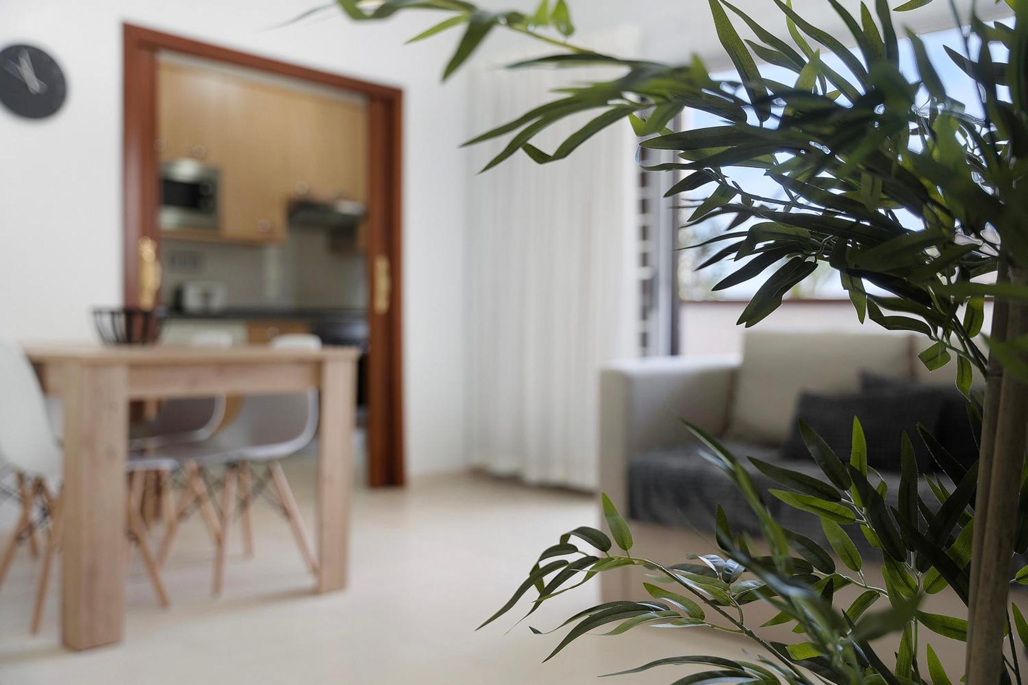 Apartamento Opuntia La Orotava Exteriör bild